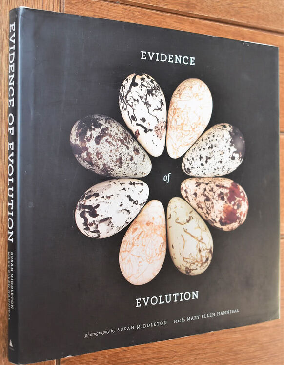 Evidence Of Evolution