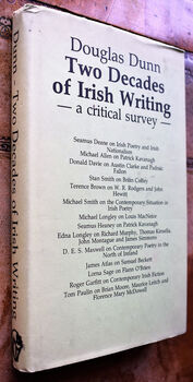 Two Decades of Irish Writing