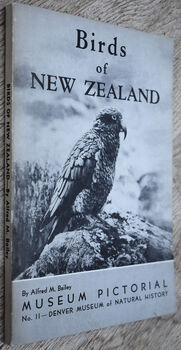 Birds Of New Zealand