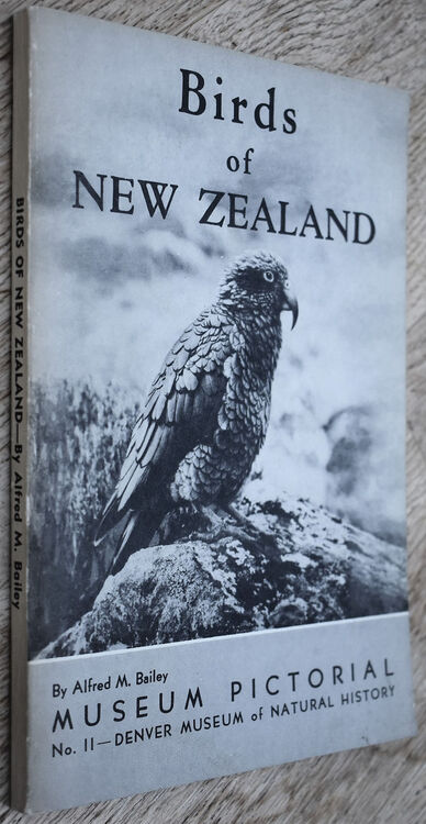 Birds Of New Zealand