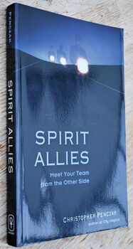 SPIRIT ALLIES Meet Your Team From The Other Side