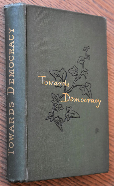Towards Democracy