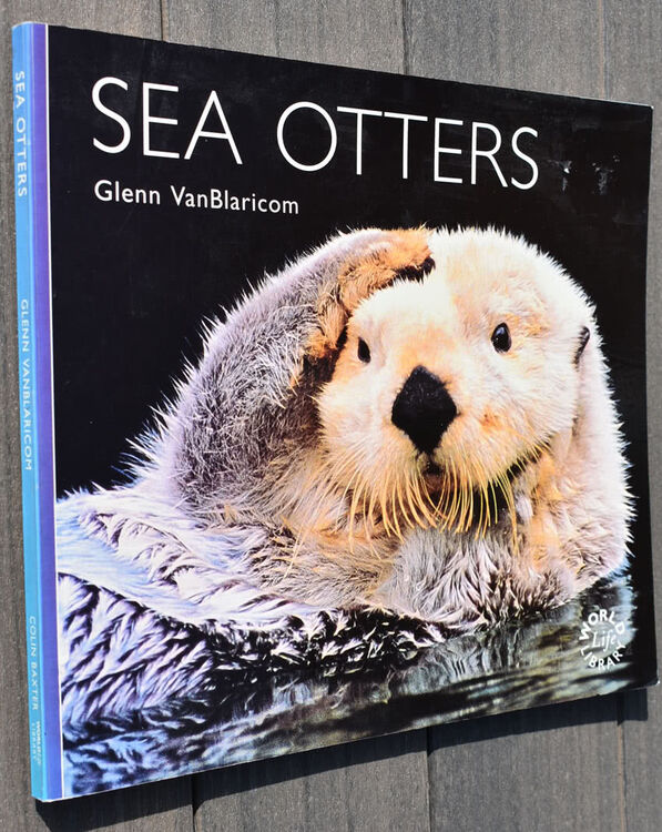 Sea Otters