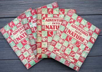 Adventures Into Nature [A Stream, Books 1 to 4]