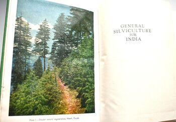 General Silviculture For India