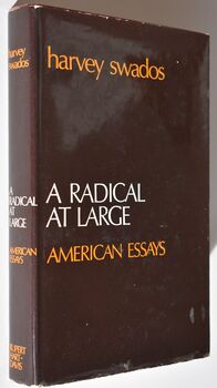 A RADICAL AT LARGE American Essays