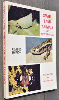 Small Land Animals Of New Zealand
