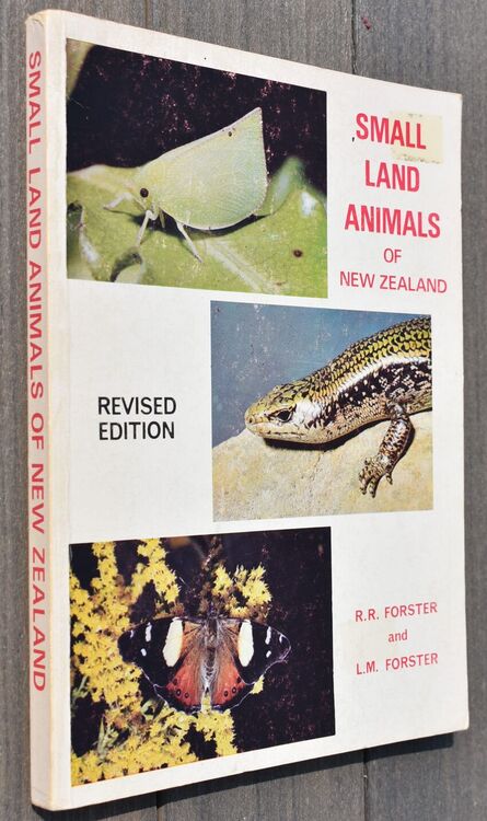 Small Land Animals Of New Zealand