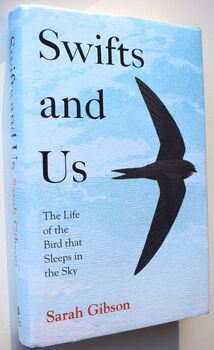 SWIFTS AND US The Life Of The Bird That Sleeps In The Sky