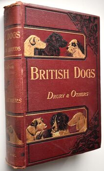 BRITISH DOGS Their Points, Selection, And Show Preparation