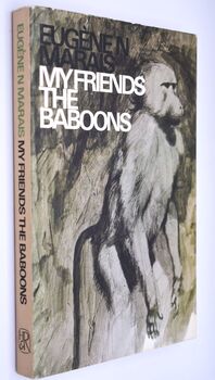 My Friends The Baboons