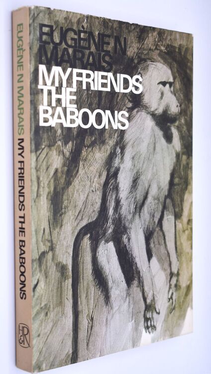 My Friends The Baboons