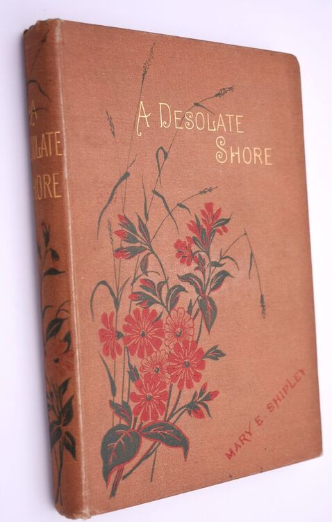 A DESOLATE SHORE A Story For Boys