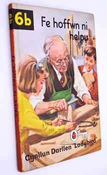 Fe hoffwn ni helpu