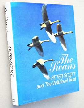 The Swans