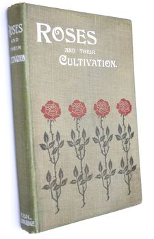 Roses And Their Cultivation