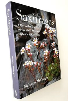 SAXIFRAGES A Definitive Guide To The 2000 Species, Hybrids & Cultivars