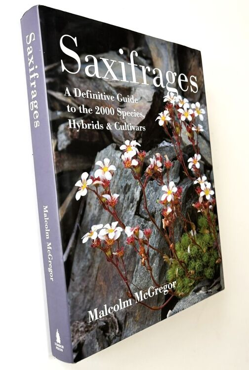 SAXIFRAGES A Definitive Guide To The 2000 Species, Hybrids & Cultivars