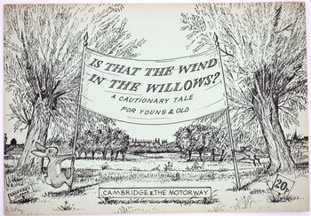 IS THAT THE WND IN THE WILLOWS? A Cautionary Tale For Young & Old