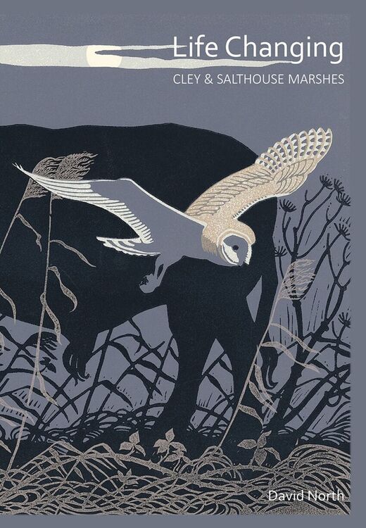 LIFE CHANGING Cley And Salthouse Marshes
