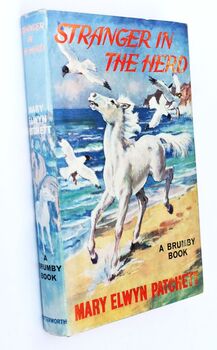 STRANGER IN THE HERD A Brumby Book