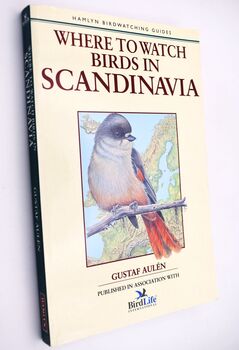 Where To Watch Birds In Scandinavia