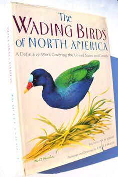 The Wading Birds Of North America